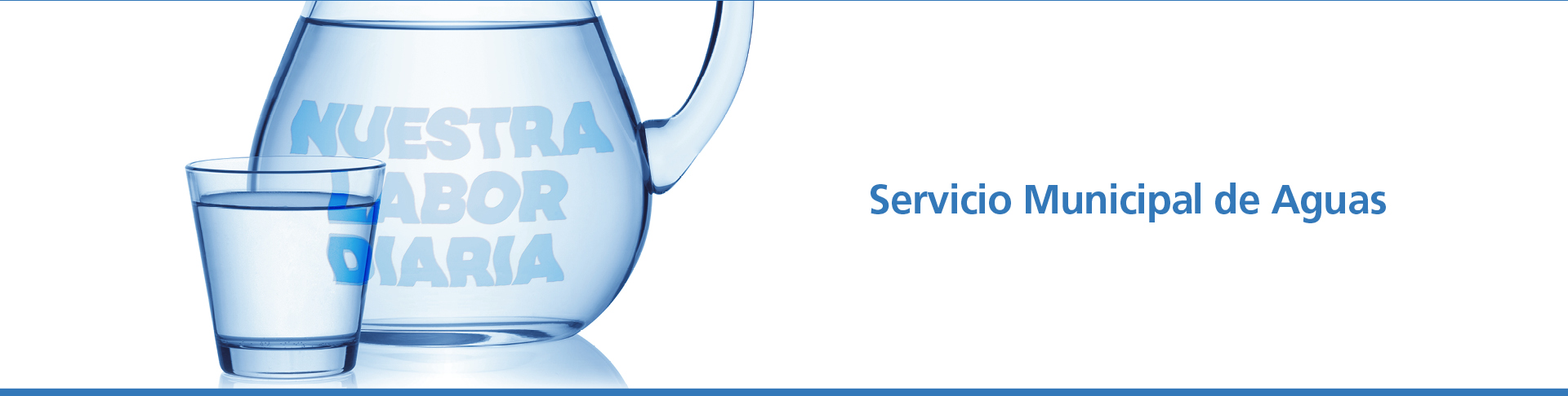 Servicio Municipal de Aguas